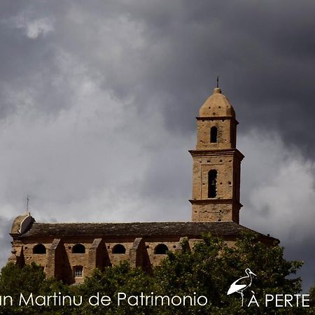 studio termer Patrimonio Exterior foto
